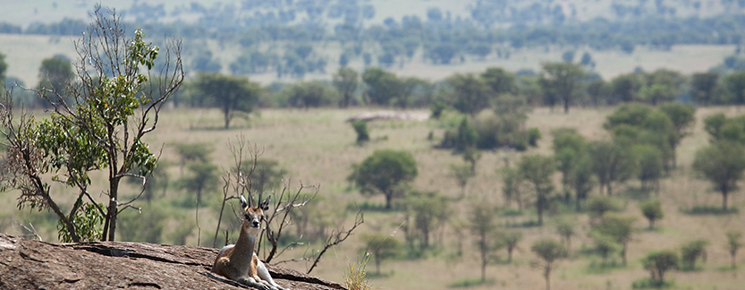 Tanzania Adventurous Safari