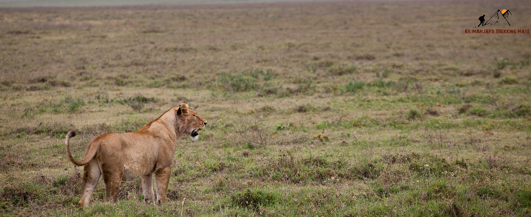 Tanzania adventure safari