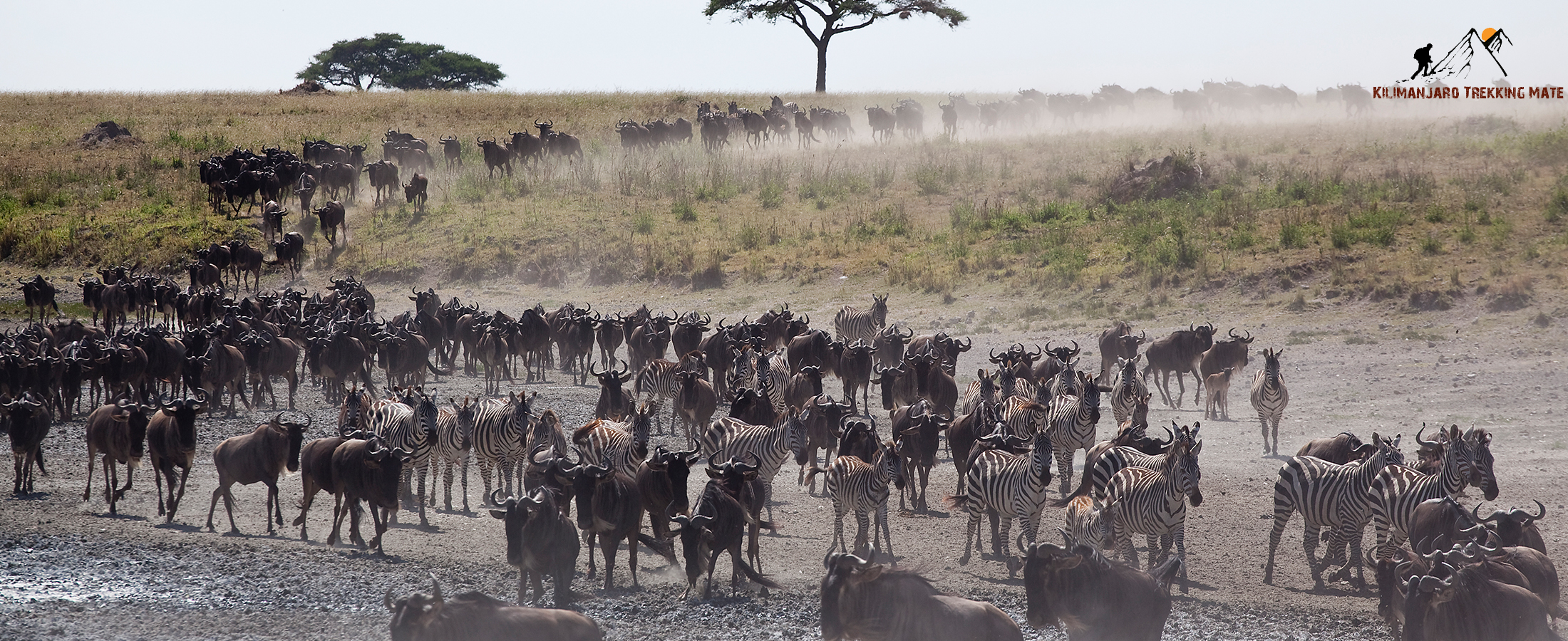 Mount Kilimanjaro trekking